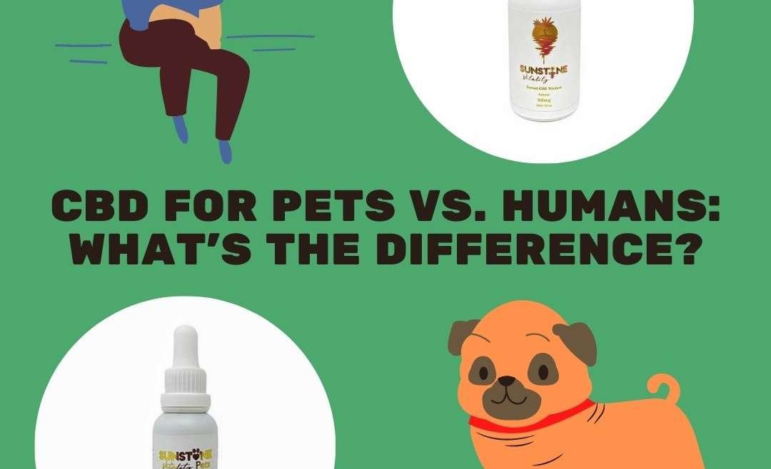 CBD for Pets vs. Humans: What’s the Difference?