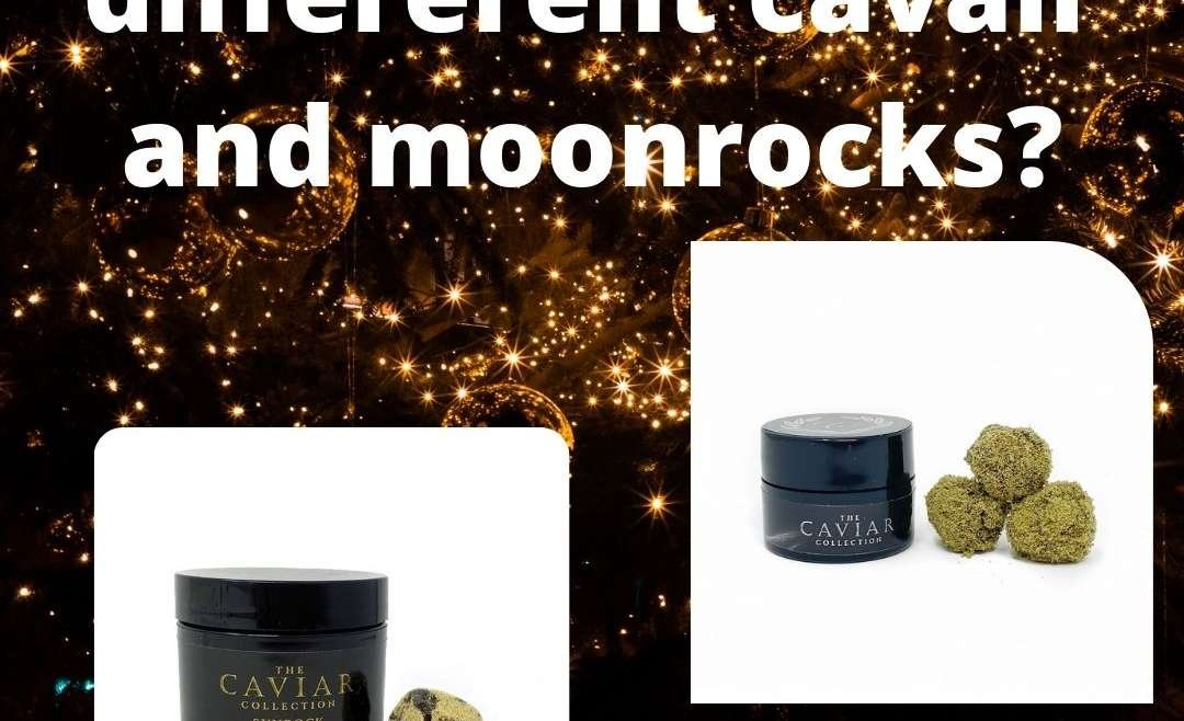 What Is the Difference Between Caviar and Moon Rocks?