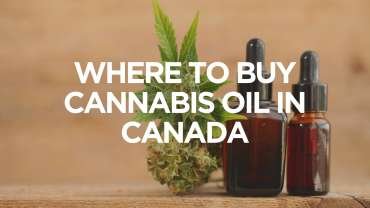 Where to Buy Cannabis Oil in Canada